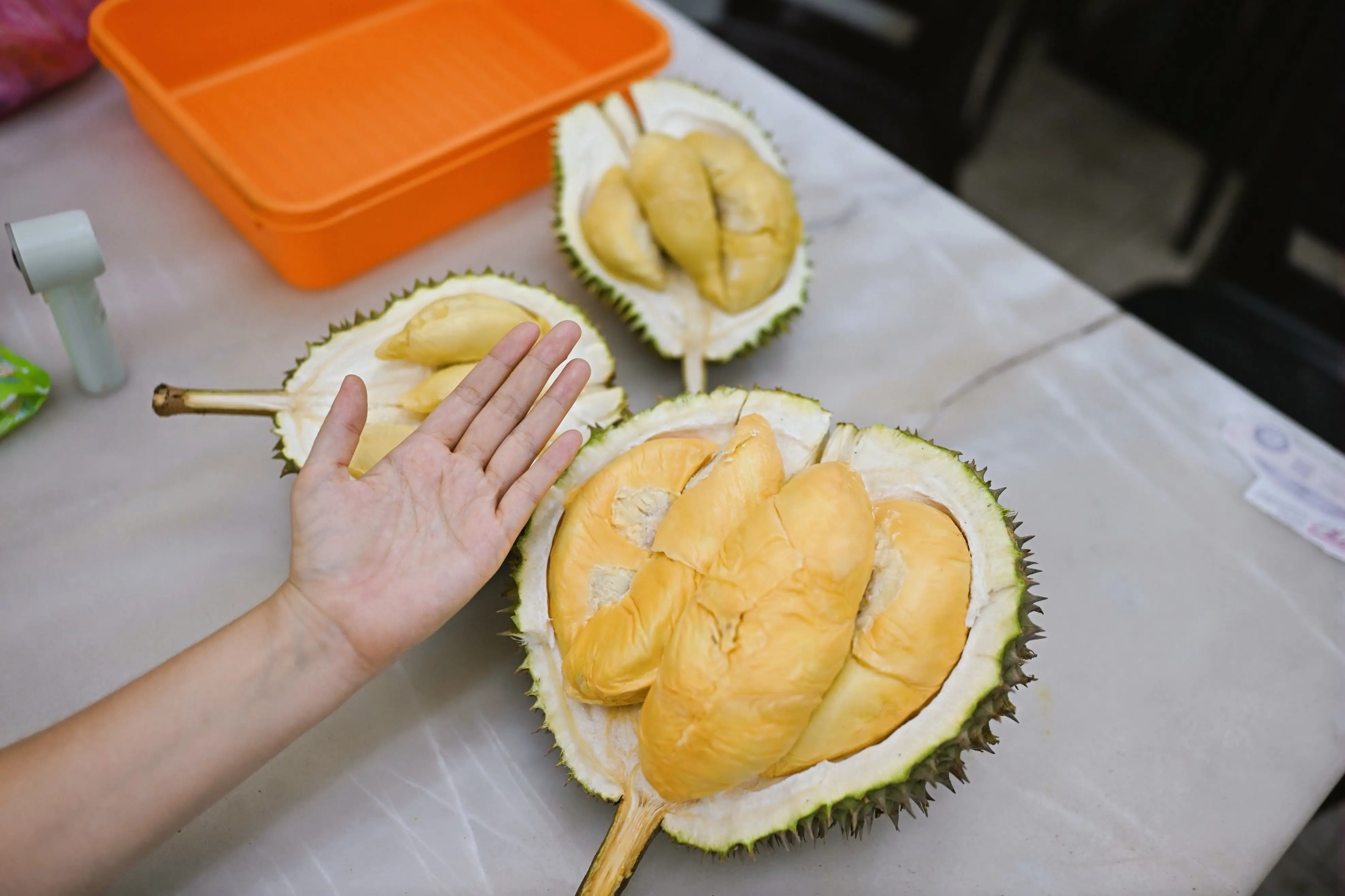 Durian Season in Malaysia: When to Visit for the Best Fruit (2026 Guide)