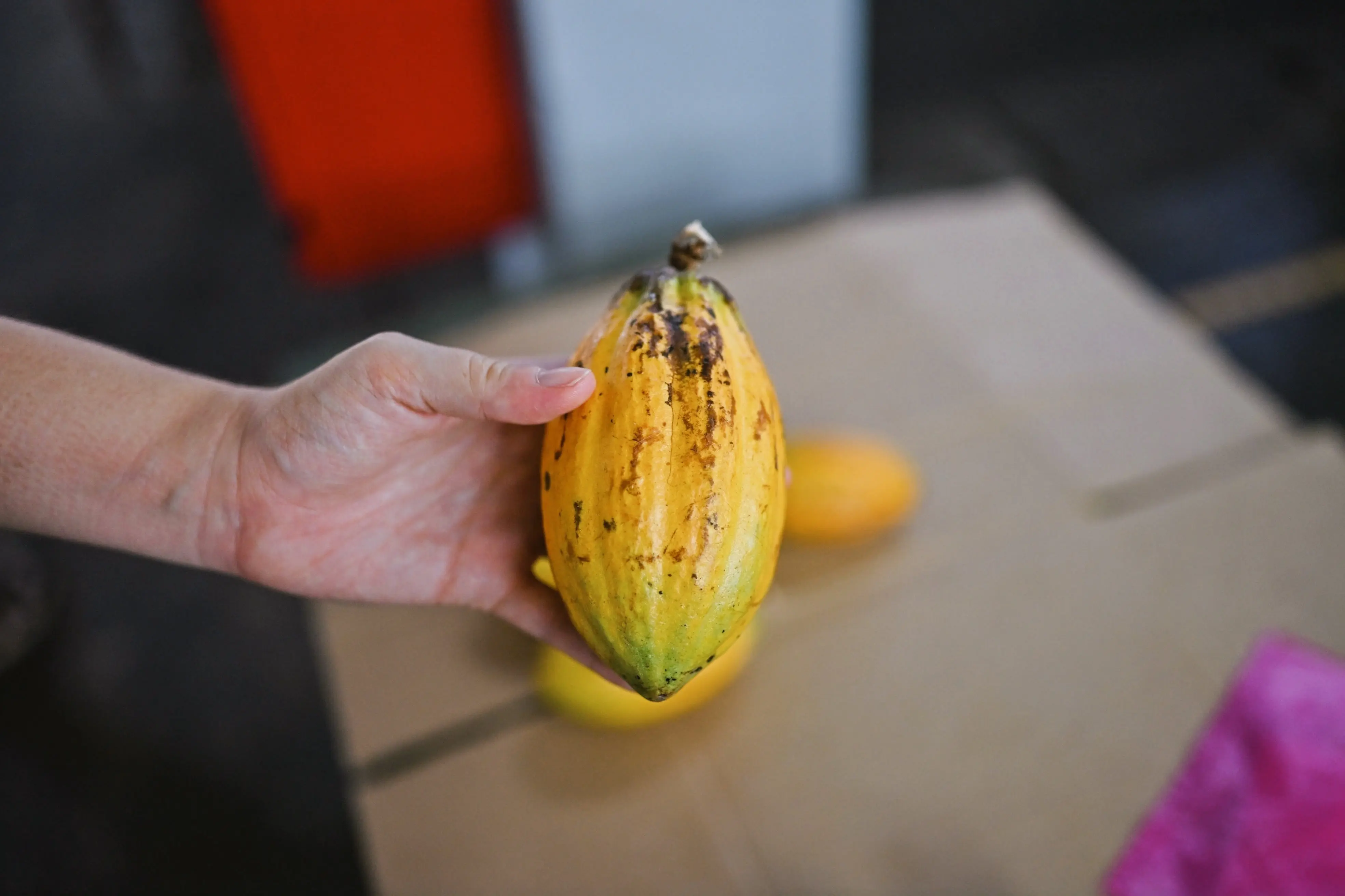 Penang for Couples: A Romantic Food Guide