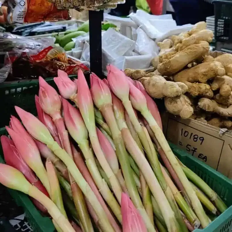 torch_ginger.jpeg